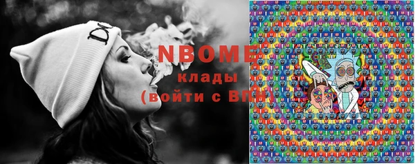 шишки Покачи