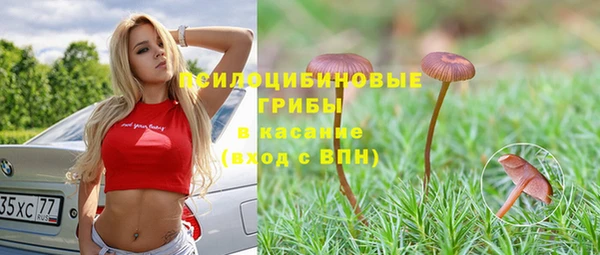первитин Абаза