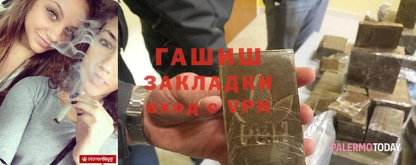 шишки Покачи