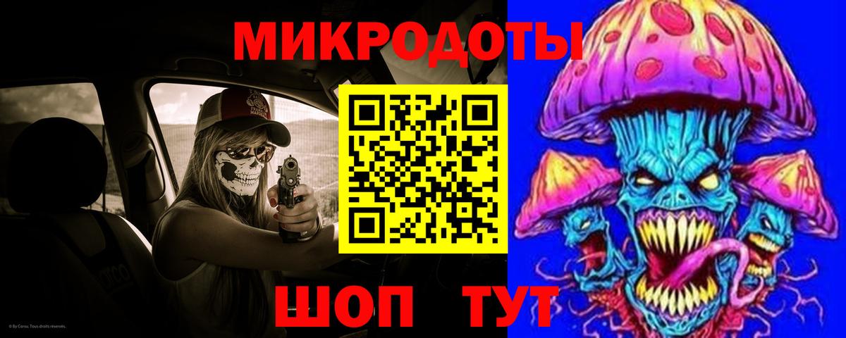 Псилоцибиновые грибы Psilocybine cubensis Саранск